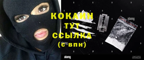 ГАЛЛЮЦИНОГЕННЫЕ ГРИБЫ Аркадак
