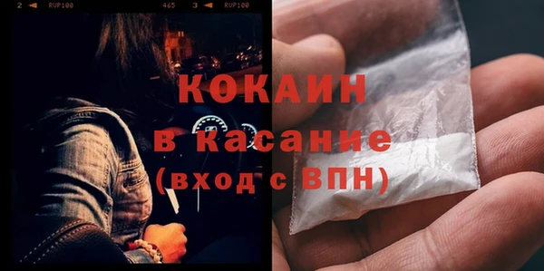 ГАЛЛЮЦИНОГЕННЫЕ ГРИБЫ Аркадак