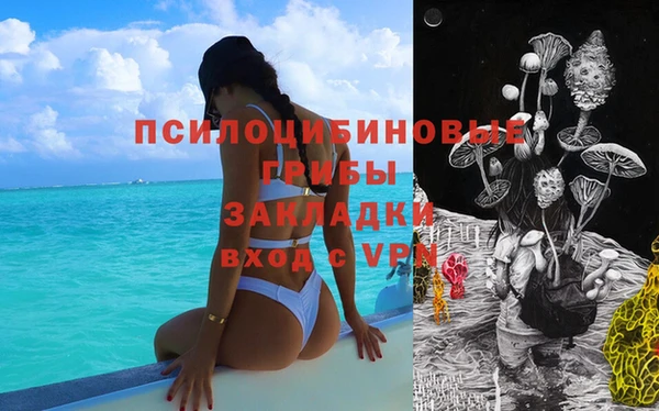 индика Арсеньев