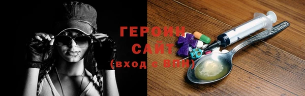 индика Арсеньев