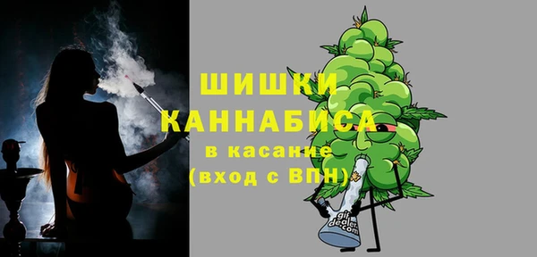индика Арсеньев