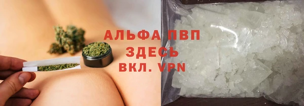 ГАЛЛЮЦИНОГЕННЫЕ ГРИБЫ Аркадак