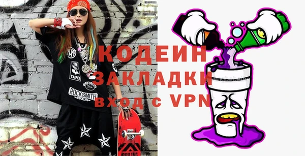 индика Арсеньев