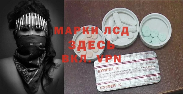 индика Арсеньев