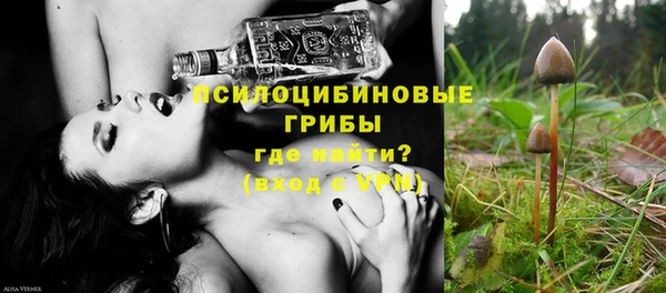 ГАЛЛЮЦИНОГЕННЫЕ ГРИБЫ Аркадак