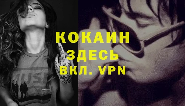 индика Арсеньев