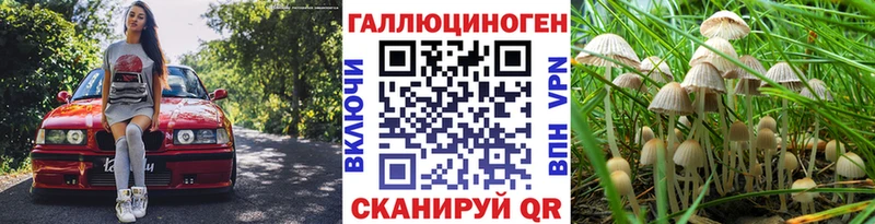 Галлюциногенные грибы GOLDEN TEACHER  hydra маркетплейс  Суздаль 