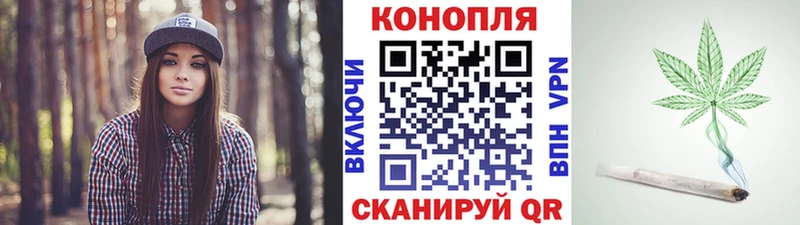 ссылка на мегу ONION  Суздаль  Бошки марихуана OG Kush  даркнет сайт 